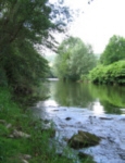 Bilder von Bad Bodendorf im Fr�hling