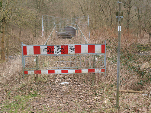 der Quellensteg in Bad Bodendorf soll mit Spendenmittel saniert werden