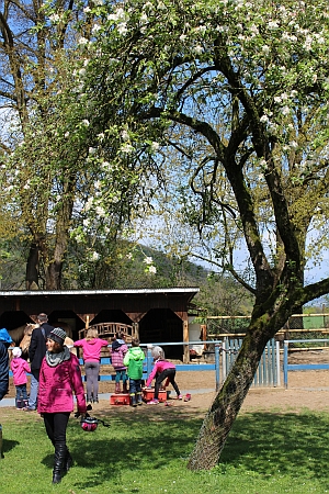 Schwanenteich pr�sentiert sich im Forum Freitagsmarkt