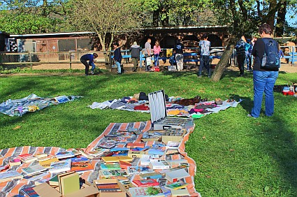Gro�er Flohmarkt am Schwanenteich